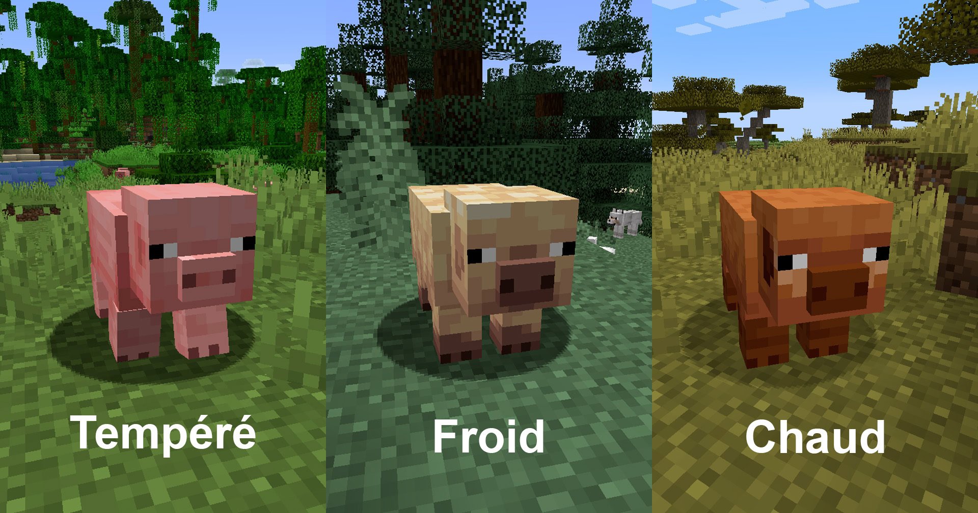 Cochons 1.21.5