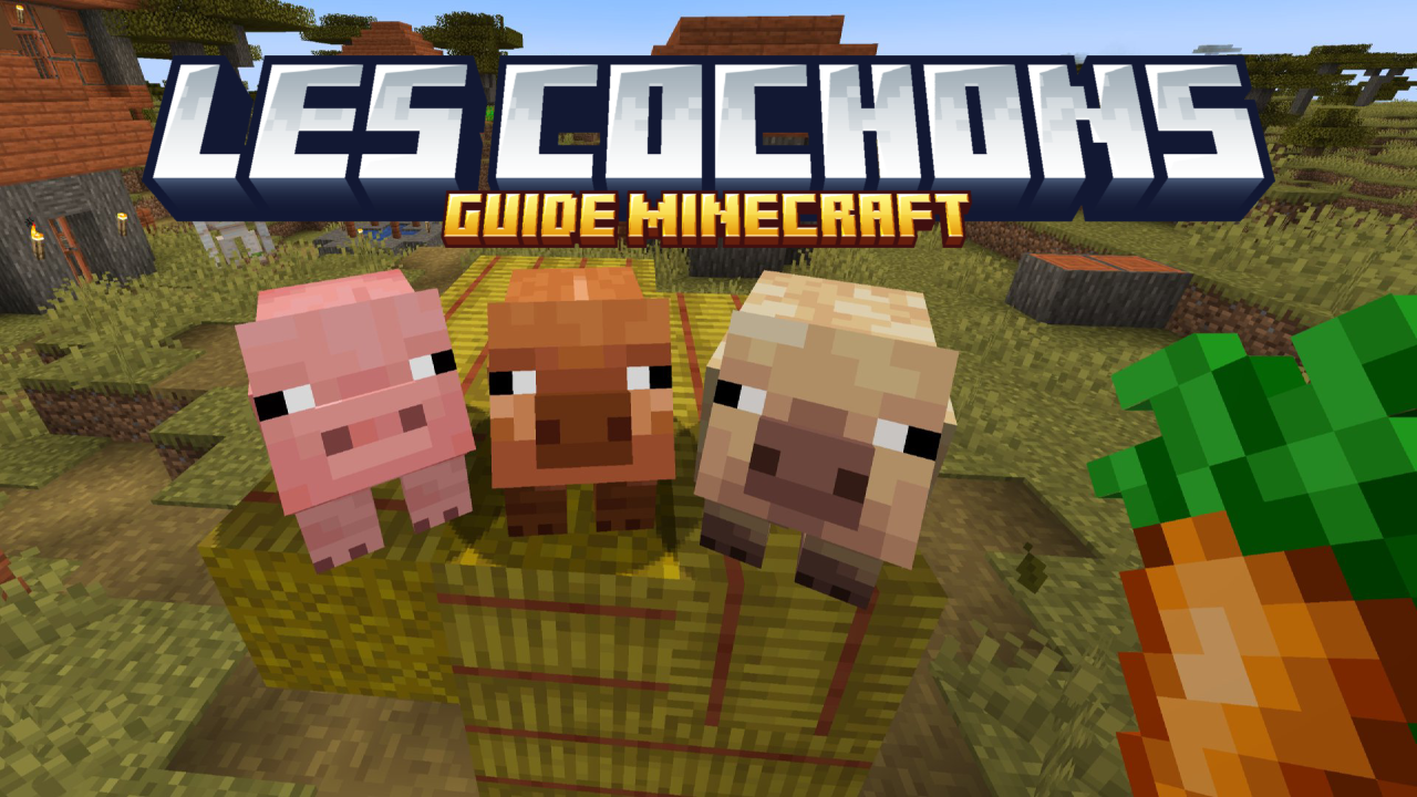 Cochon-Minecraft guide