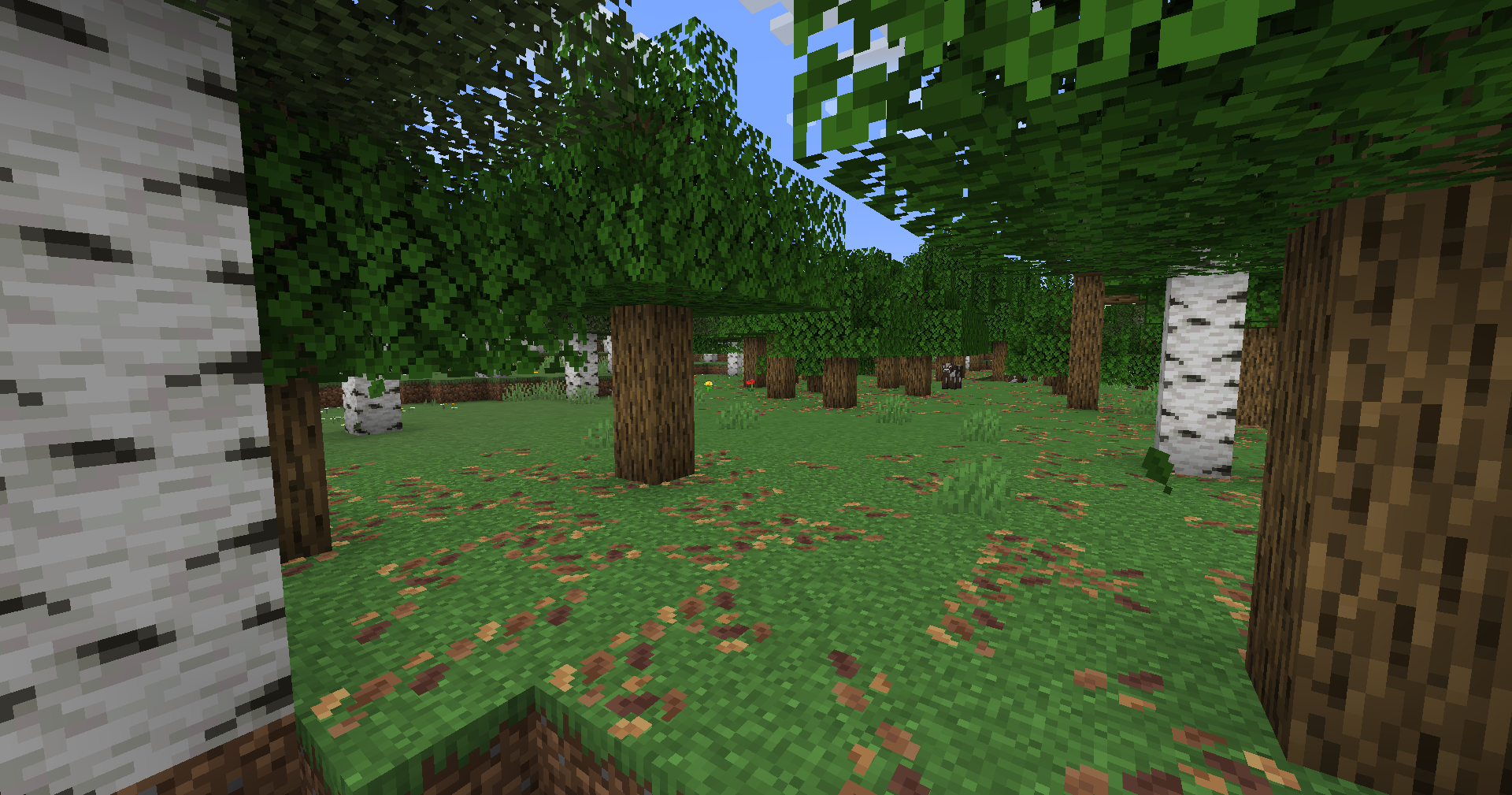 Leaf Litters 25w02a