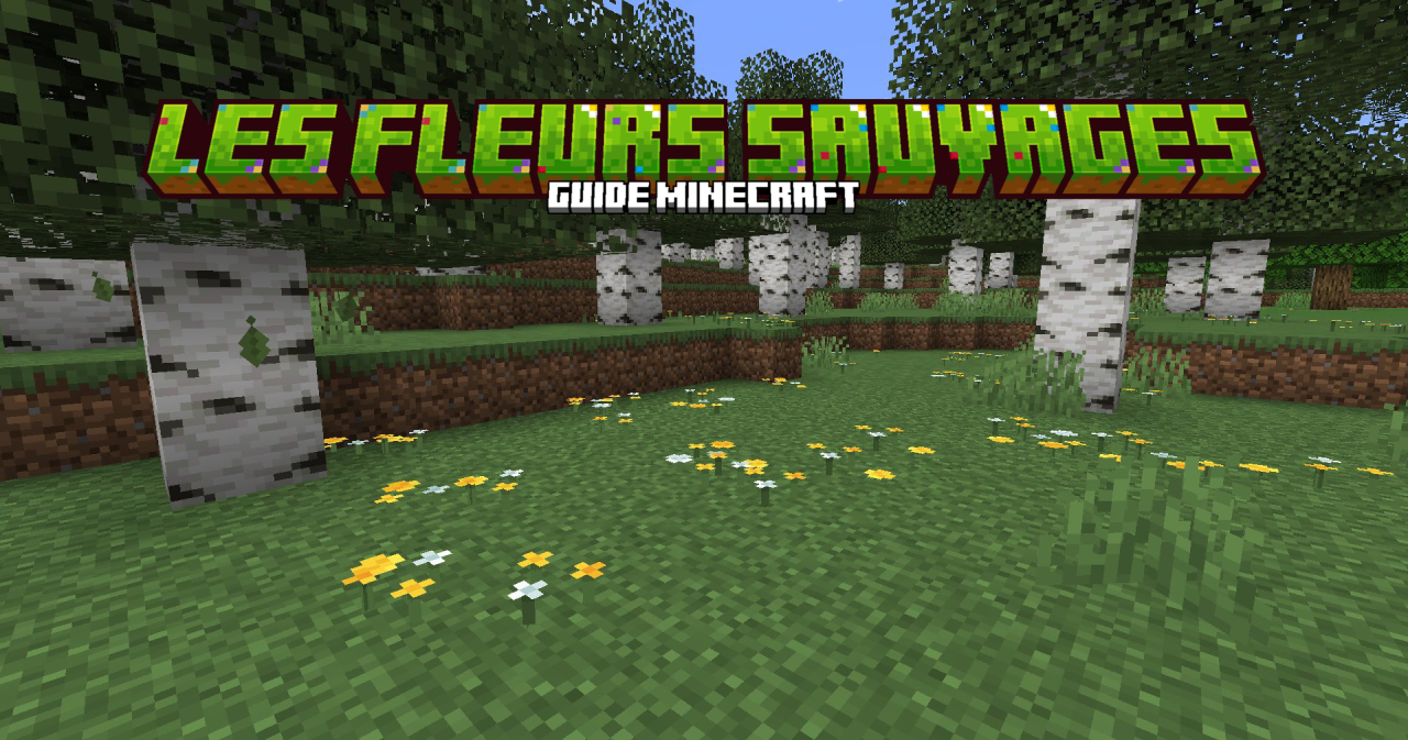 Fleurs-sauvages-minecraft