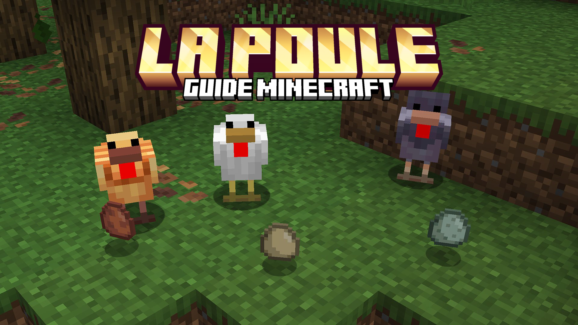 Poule Minecraft