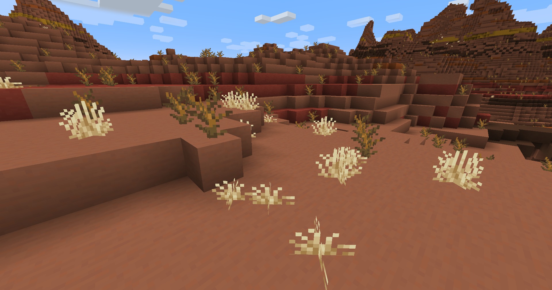 Herbes sèches badlands