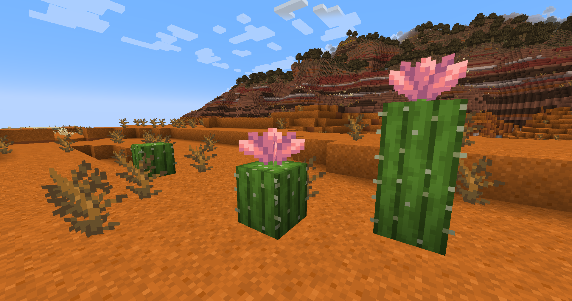 Fleur de cactus badlands 1.21.5