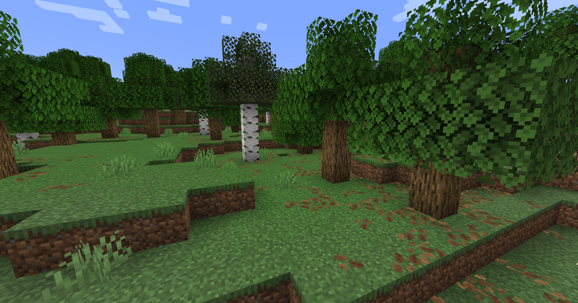 Tas de feuilles forêt 1.21.5