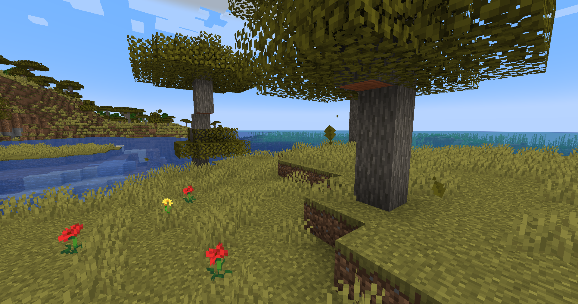 Feuilles tombantes 1.21.5