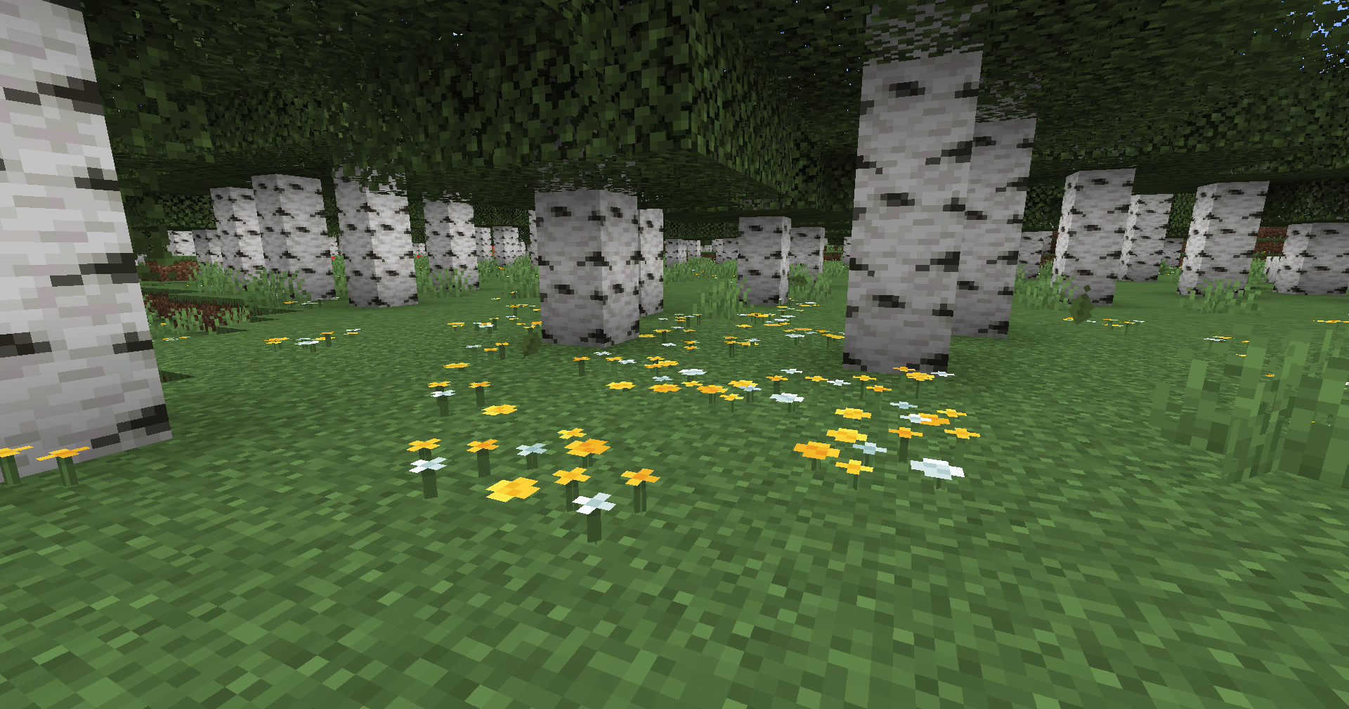 Fleurs sauvages 1.21.5