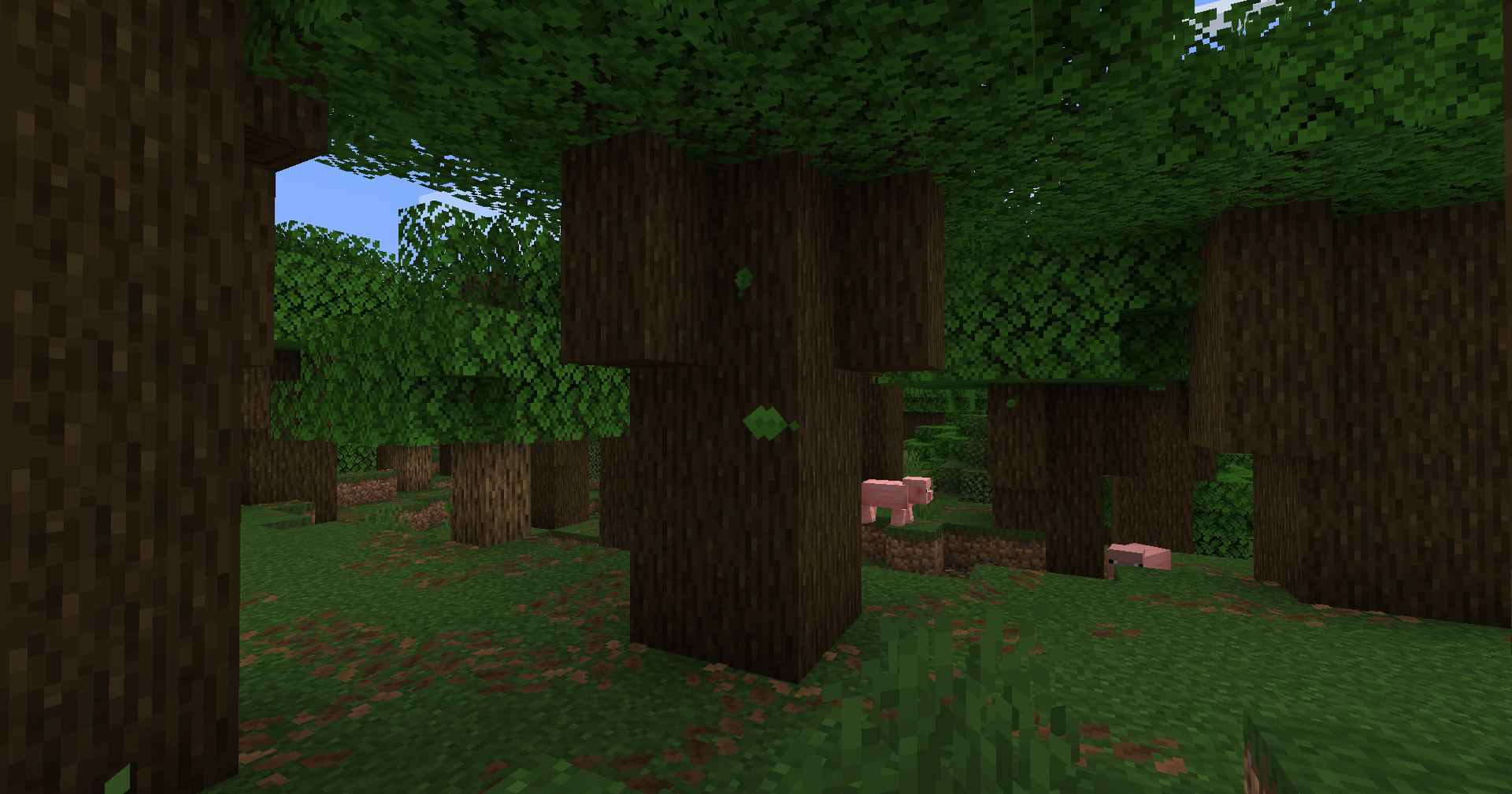 Feuilles tombantes 1.21.5