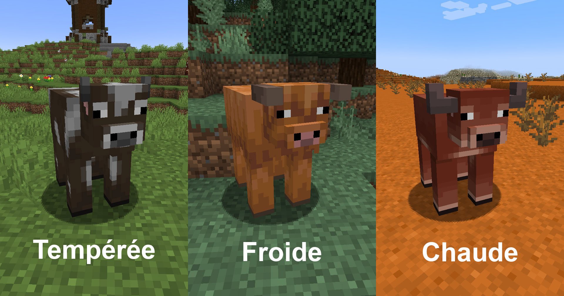 Vaches 1.21.5