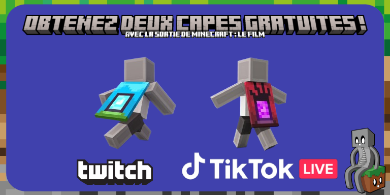 Capes Minecraft Film