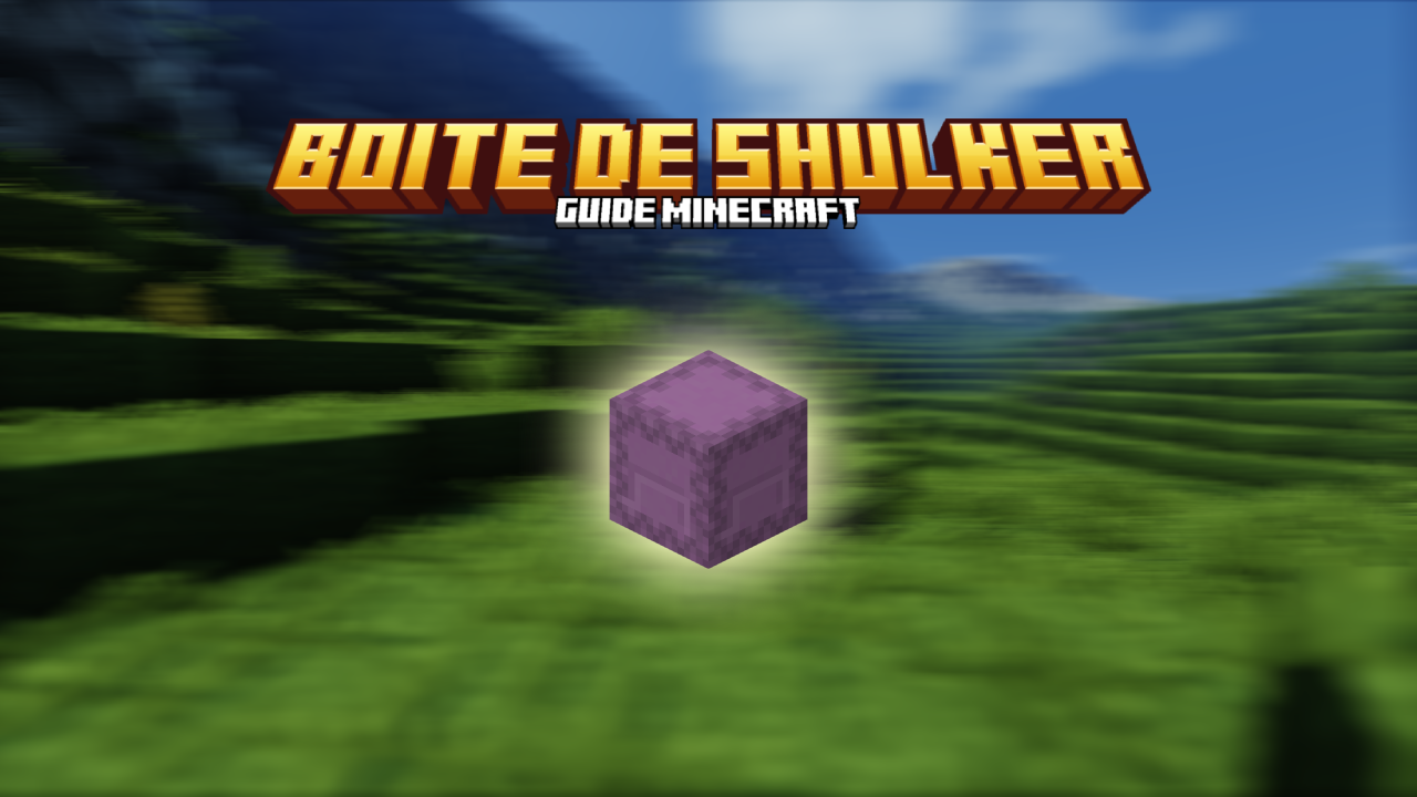 Boite de shulker