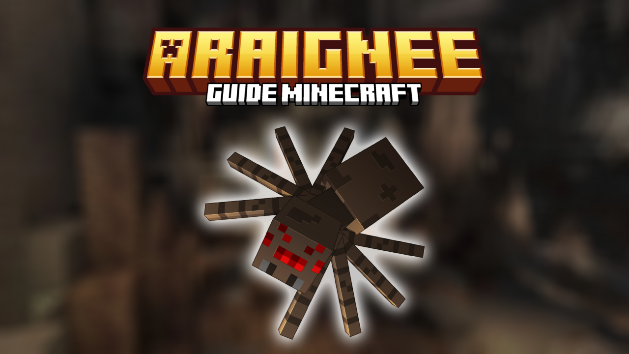 Araignée Guide