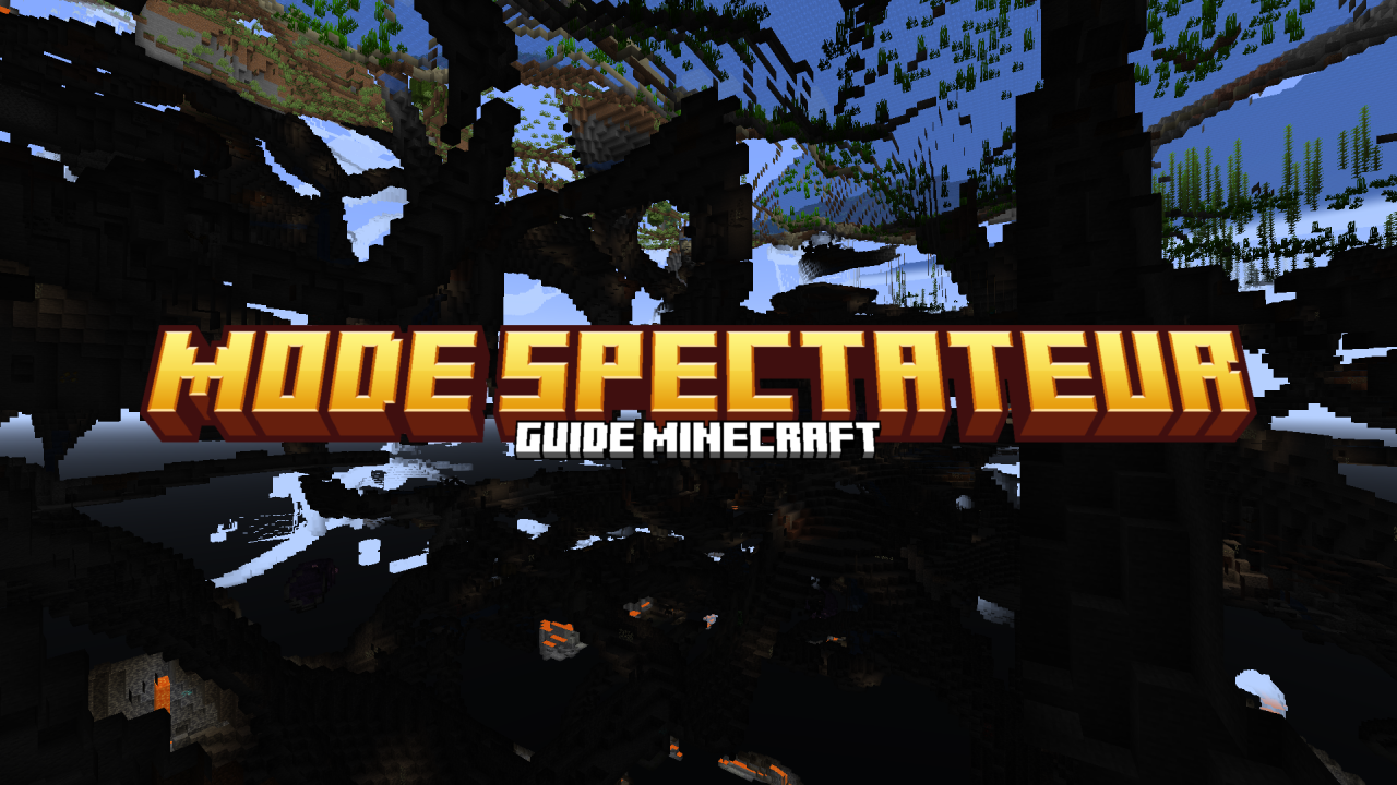 Mode Spectateur