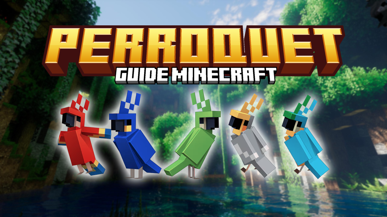 Perroquet-guide