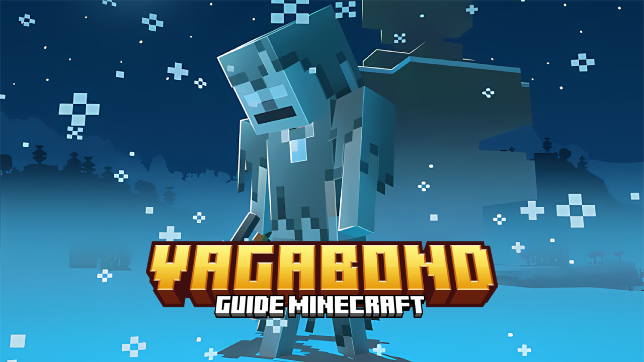 Vagabond
