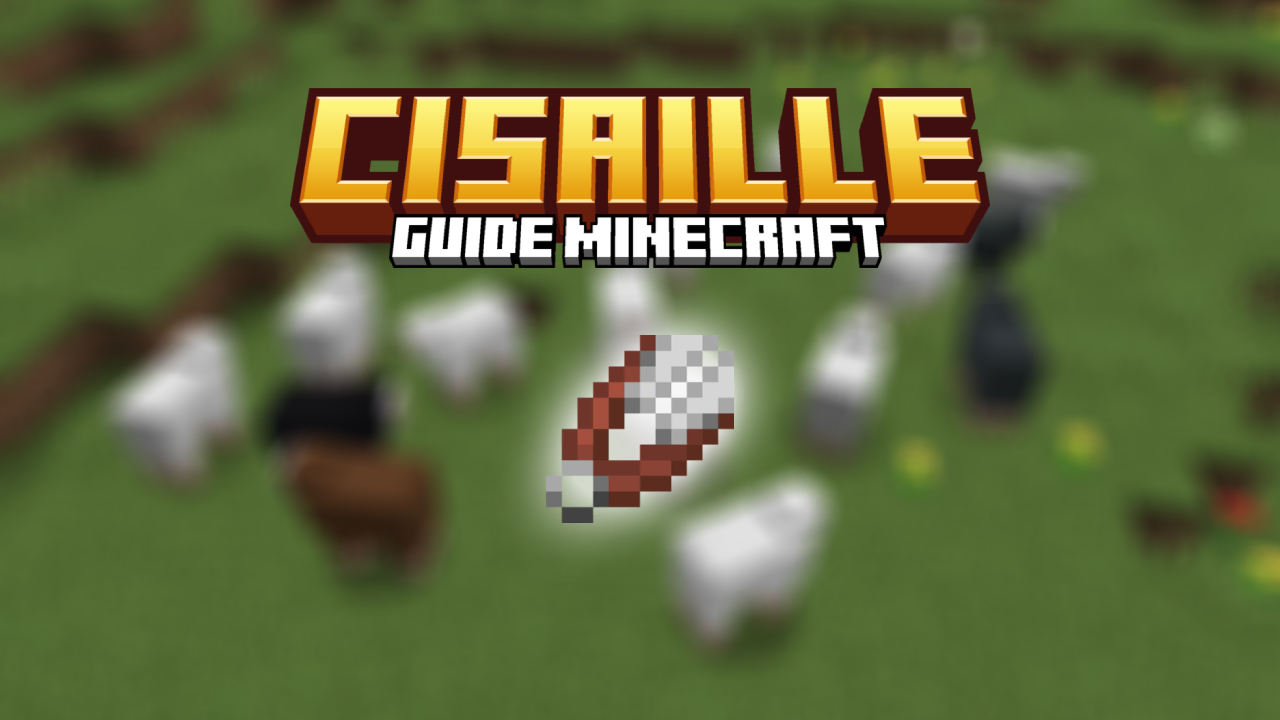 Cisaille