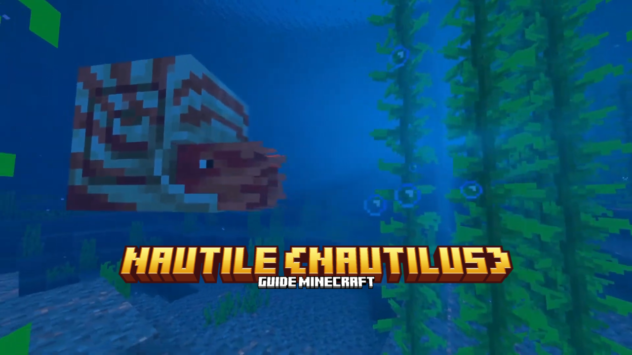 Nautile _ Nautilus