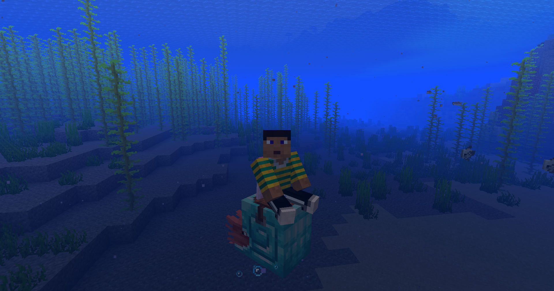 Nautilus Armor 25w41a