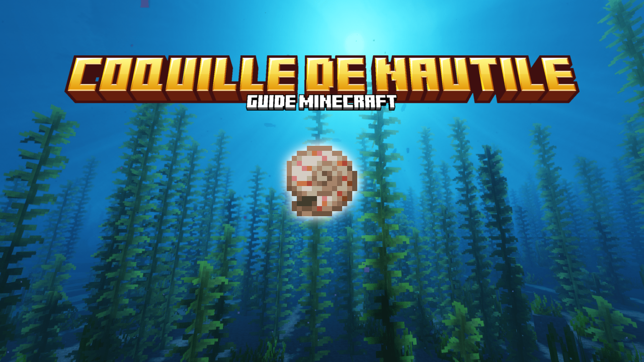 Coquille de Nautile