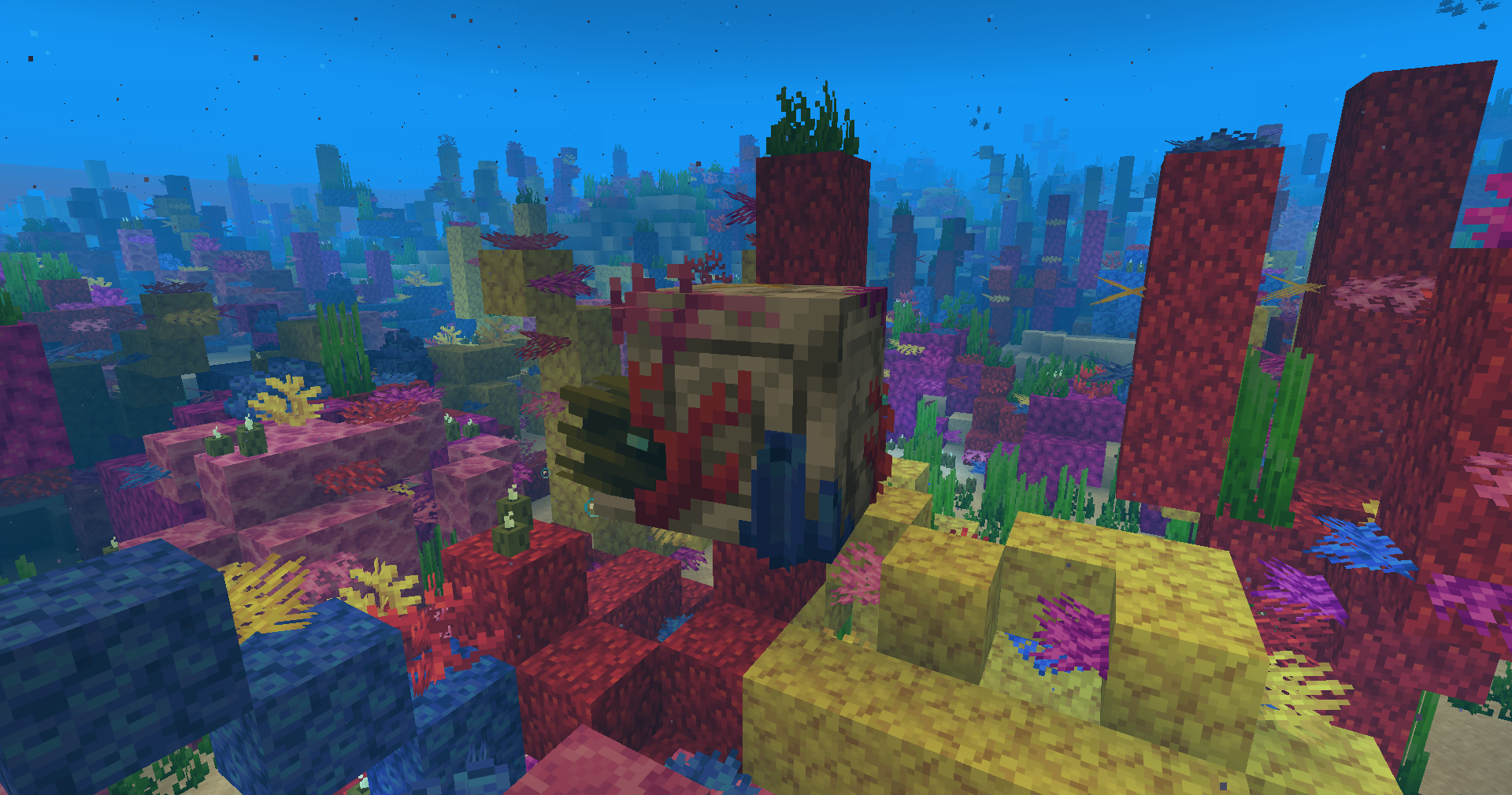 Nautile-zombie corail 25w45a