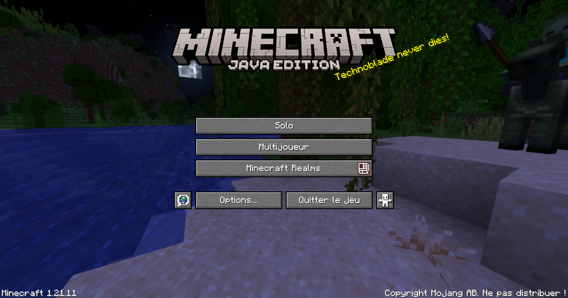 écran titre 1.21.11