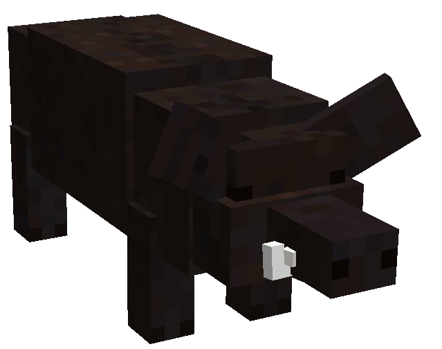 Différents types de cochons