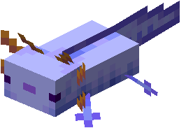 Blue Axolotl