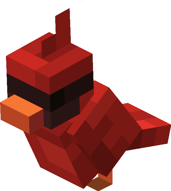 oiseau