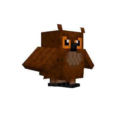 owl walking