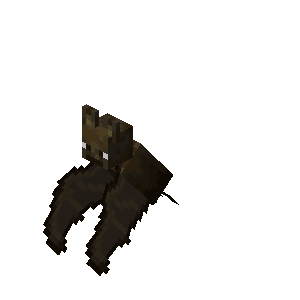 Chauve souris