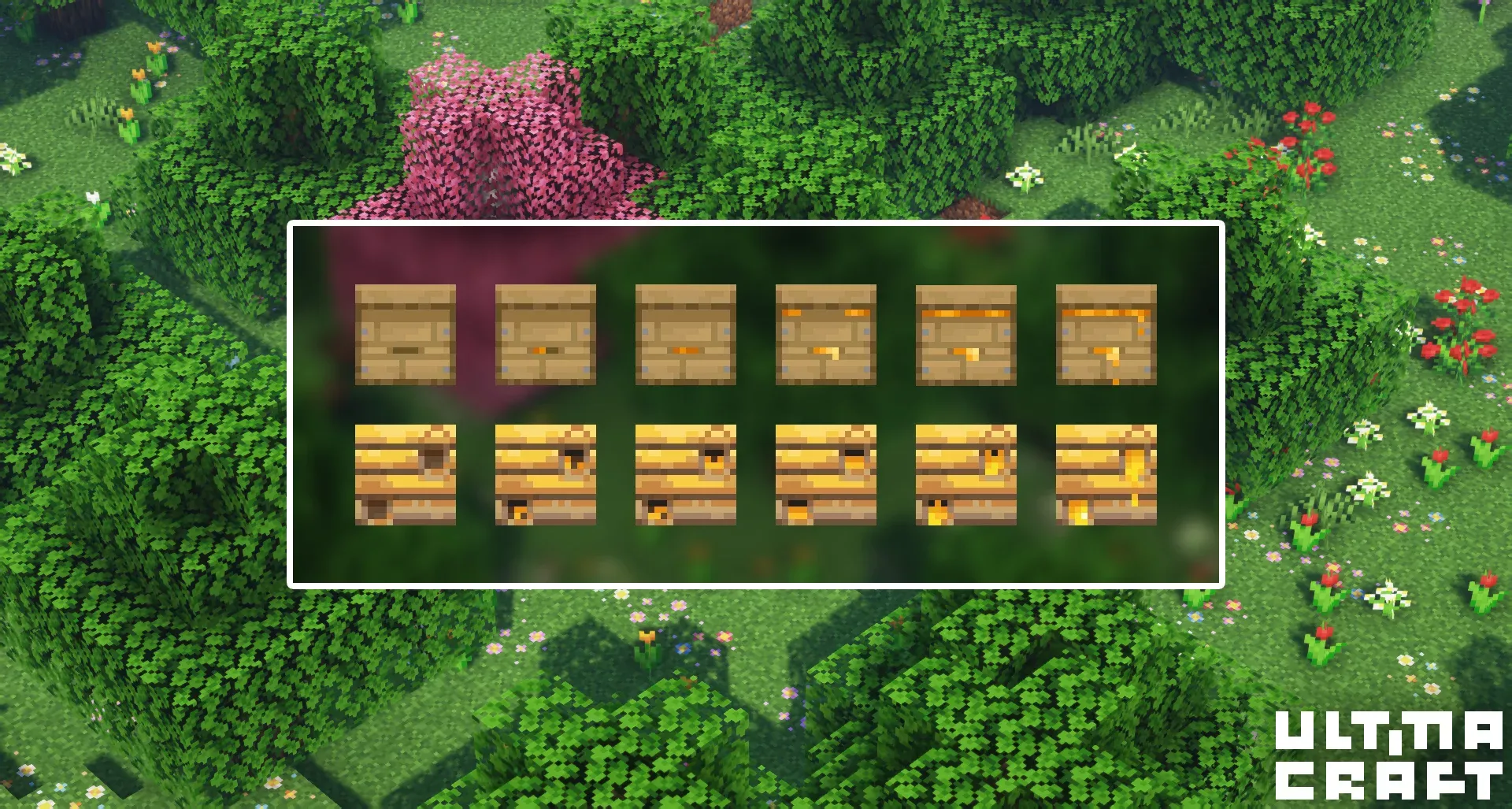 bees
