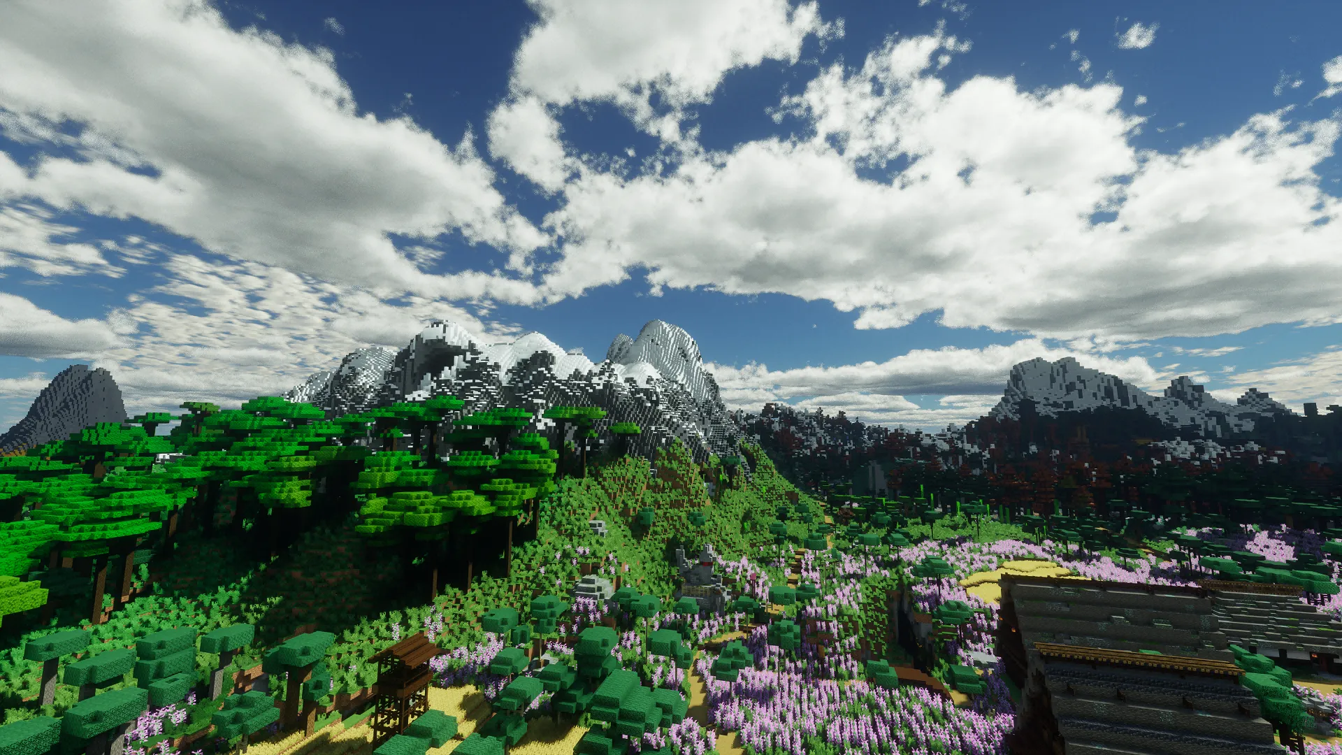 Shader Derivative