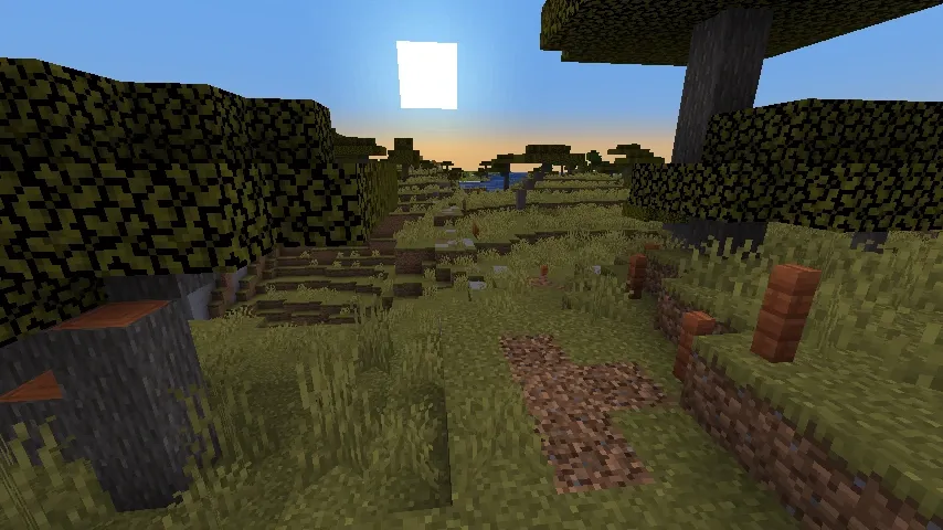 Route construite dans un biome de savane.