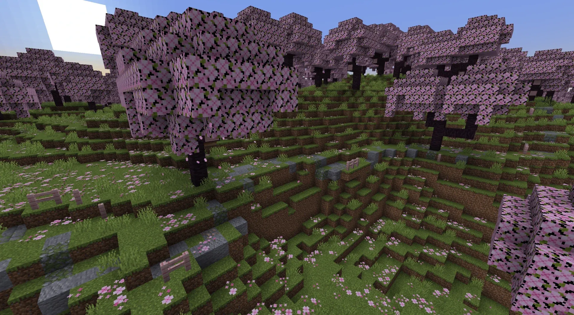 Route traversant un biome de cerisiers en fleurs.