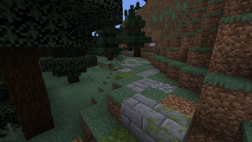 Route dans une taïga.