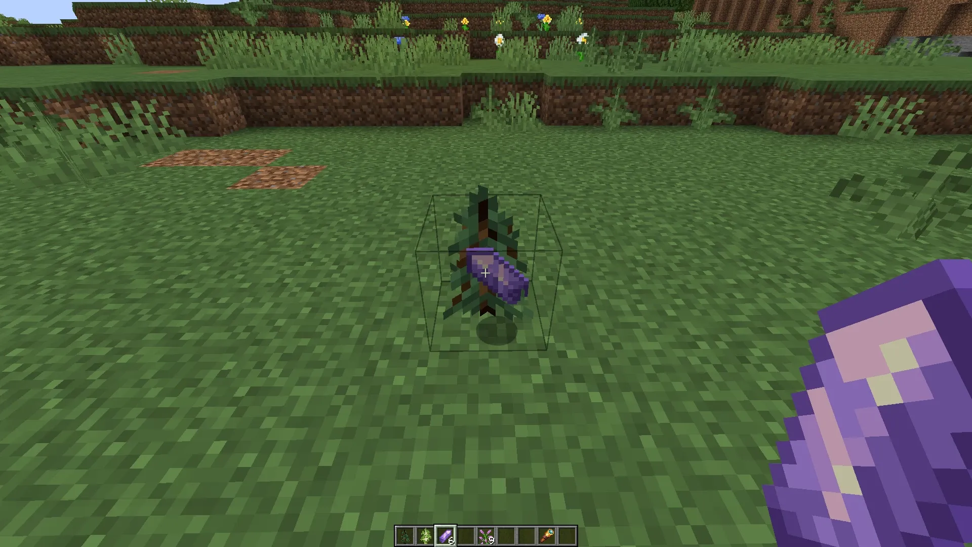 Activation du datapack Dynamic Life en déposant un éclat d’améthyste sur un jeune sapin dans Minecraft